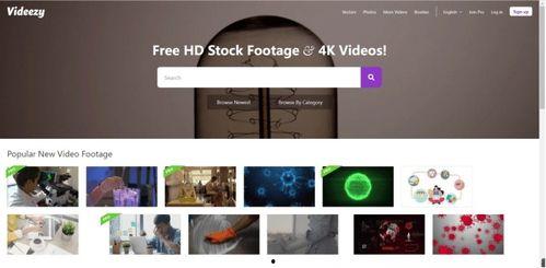 多鱼网视频,精彩瞬间回顾