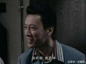 谢若林经典台词视频,揭示人生哲理的智慧火花