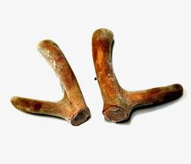 干鹿茸怎么切片方法视频,视频教程详解