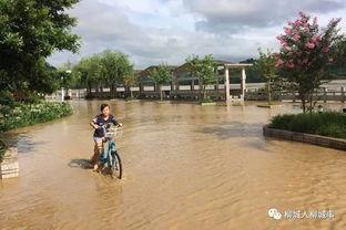 柳城视频,探寻柳城风华，记录时代变迁