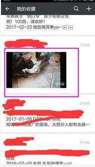 拍的视频怎样发朋友圈,朋友圈里的故事